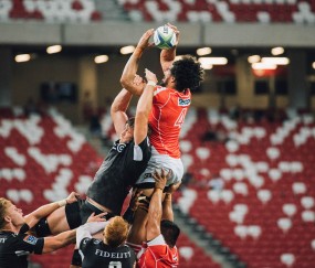 开云足球直播-德罗赞爆发之夜，森林狼如何正面击溃太阳？