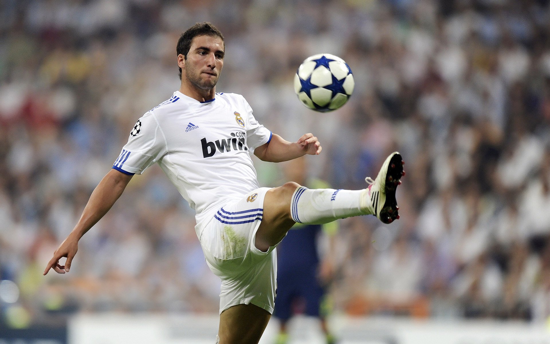 红土上的宣言,德约科维奇蒙特卡洛横扫温网,扛起塞尔维亚网球荣光